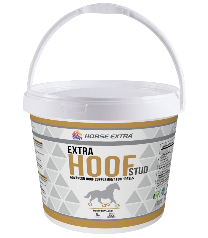 horse-extra-extra-hoof-stud-5-kg