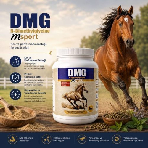 DMG 1 KG