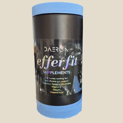 Efferfit Suplement 1 Kg